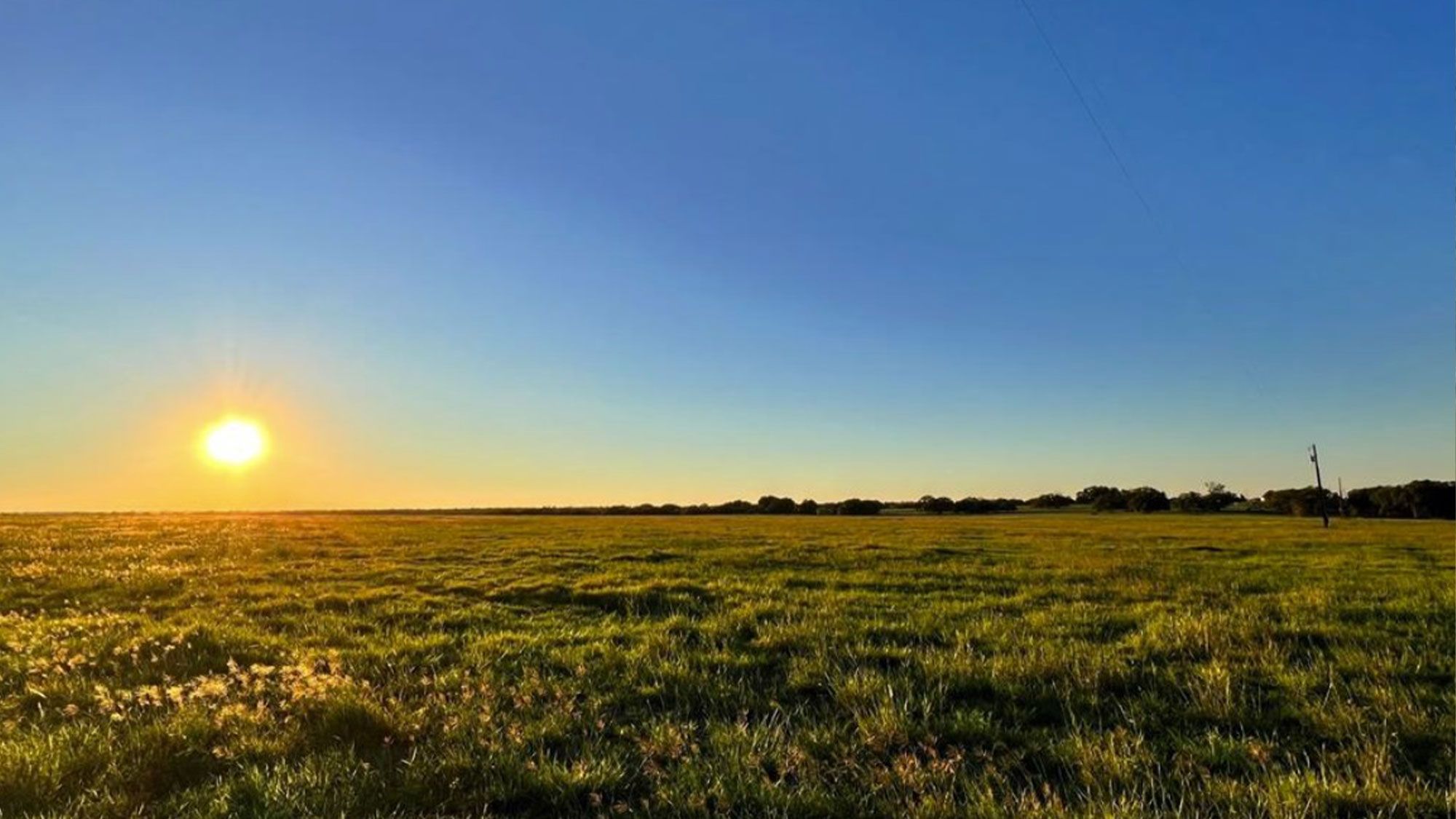 sunset by Schulenburg grassy land