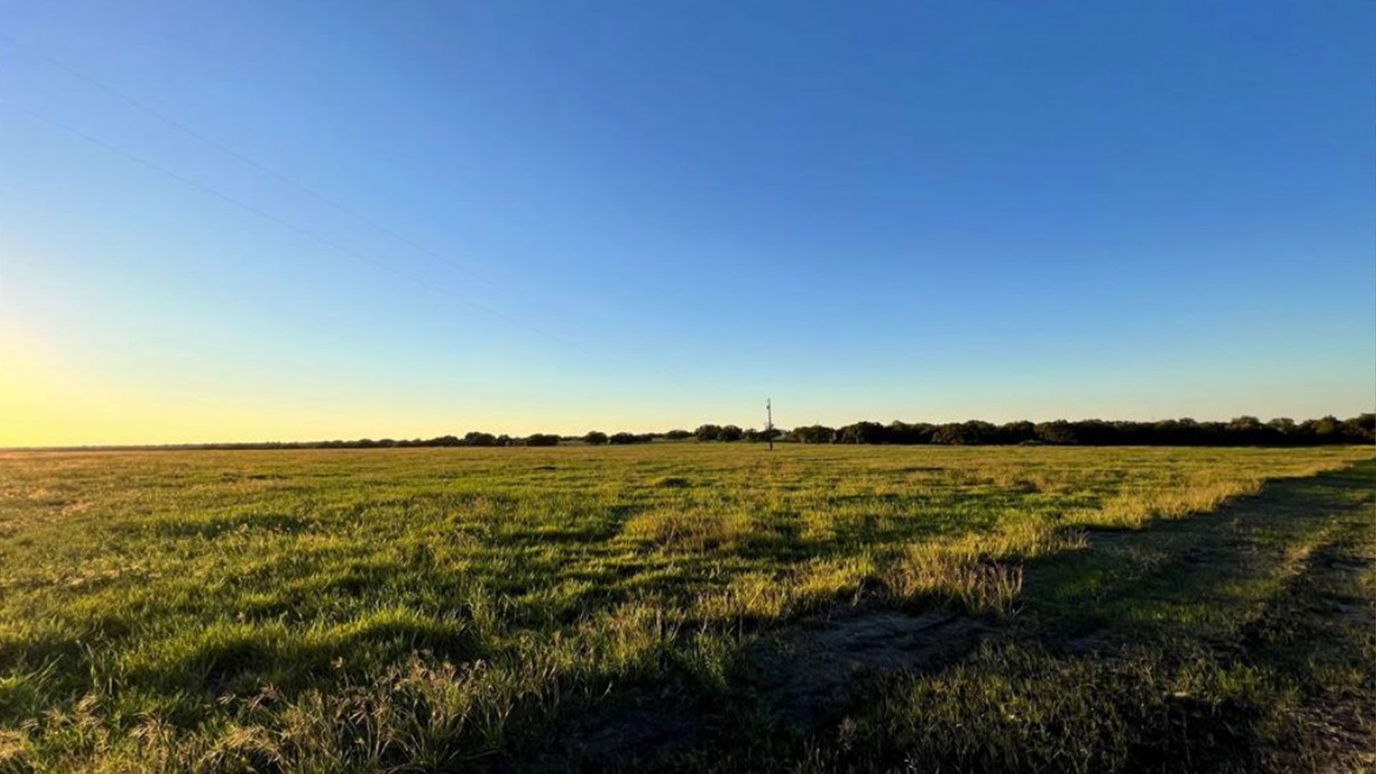 grassy Schulenburg lot 2